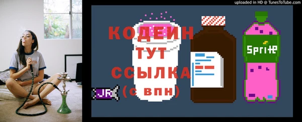 герыч Новодвинск