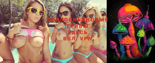 Альфа ПВП Покровск